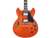 Ibanez AS73-TTF Ibanez AS73-TTF